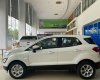 Ford EcoSport 2021 - Ford Ecosport 2021 thời điểm tốt nhất, giảm giá xe, tặng phụ kiện tốt nhất trong năm, gía xe tốt nhất thị trường, sẵn xe, đủ mầu giao ngay trong