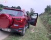Ford EcoSport   Titanium 1.5L AT  2016 - Bán ô tô Ford EcoSport Titanium 1.5L AT đời 2016, màu đỏ  