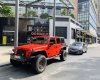 Jeep Wrangler 2009 - Cần bán xe Jeep full Offroad