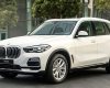 BMW X5 2020 - Xe BMW X5 new rất hot, ưu đãi hấp dẫn + hỗ trợ trả góp lãi suất thấp