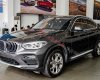 BMW X4   2019 - Bán xe BMW X4 đời 2019, màu xám, nhập khẩu nguyên chiếc