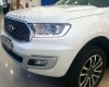 Ford Everest 2021 - Ford Everest 2021, ưu đãi cuối năm cực lớn, xe sẵn giao ngay, hỗ trợ hồ sơ nợ xấu