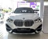 BMW X1   sDrive18i  2021 - Bán BMW X1 sDrive18i năm sản xuất 2021, màu trắng, xe nhập