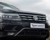 Volkswagen Tiguan 2021 - Bán xe Volkswagen Tiguan sản xuất năm 2021, nhập khẩu