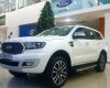 Ford Everest 2021 - Ford Everest 2021, ưu đãi cuối năm cực lớn, xe sẵn giao ngay, hỗ trợ hồ sơ nợ xấu