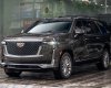 Cadillac Escalade 2021 - Xe Cadillac Escalade Premium Luxury 2021, xe mới đã có tại showroom