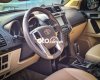 Toyota Prado  TXL 2017 - Bán xe Toyota Prado TXL sản xuất 2017, màu xám, xe nhập còn mới