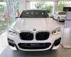 BMW X4 xDrive20i 2021 - Bán ô tô BBMW X4 xDrive20i 2021 - hỗ trợ thủ tục nhanh chóng, giao xe tận nhà