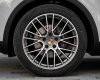Porsche Cayenne  V6  2021 - Bán Porsche Cayenne V6 sản xuất 2021, màu trắng, xe nhập