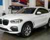 BMW X4 2018 - Bán BMW X4 xDrive20i năm sản xuất 2018, màu trắng, nhập khẩu