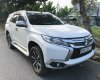 Mitsubishi Pajero 2019 - Cần bán gấp Mitsubishi Pajero sản xuất năm 2019, màu trắng, nguồn gốc rõ ràng, bao rút gốc hồ sơ, sang tên/ủy quyền vô tư