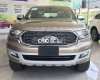 Ford Everest 2022 - Bán ô tô Ford Everest Titanium 2.0 AT sản xuất năm 2022, màu vàng, xe nhập