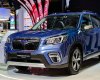 Subaru Forester 2020 - Subaru Forester Eyesight i-S EyeSight giá 1.114.000.000đ