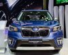 Subaru Forester 2020 - Subaru Forester Eyesight i-S EyeSight giá 1.114.000.000đ