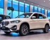 BMW X1 sDrive18i 2021 - Bán BMW X1 sDrive18i sản xuất năm 2021, màu trắng, xe nhập