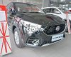 MG ZS 1.5L 2021 - Cần bán xe MG ZS 1.5L năm sản xuất 2021, màu đen, nhập khẩu nguyên chiếc