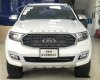 Ford Everest 2022 - Thái nguyên Ford bán Ford Everest Biturbo 2022, nhập khẩu, sẵn xe giá tốt + tặng full phụ kiện. Vay 80% đăng ký đăng kiểm