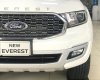 Ford Everest 2022 - Thái nguyên Ford bán Ford Everest Biturbo 2022, nhập khẩu, sẵn xe giá tốt + tặng full phụ kiện. Vay 80% đăng ký đăng kiểm