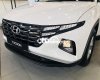 Hyundai Tucson 2022 - Bán xe Hyundai Tucson 2.0 tiêu chuẩn năm sản xuất 2022