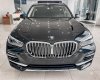 BMW X5 2022 - Bán xe BMW X5 xDrive 40i xLine Plus năm 2022 màu đen, giảm ngay 20 triệu tiền mặt