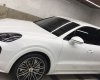 Porsche Cayenne S 2019 - Cần bán Poscher Cayenne S