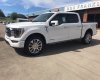 Ford F 150 Limited  2023 - Bán Ford F150 Limited  2023, màu trắng, xe giao ngay