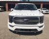 Ford F 150 Limited  2023 - Bán Ford F150 Limited  2023, màu trắng, xe giao ngay