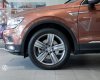 Hãng khác Khác 2018 - Công ty thanh lý xe Tiguan Luxury màu nâu like new - giá cả còn thương lượng cho KH thiện chí-LH: 093 2168 093
