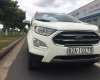 Ford EcoSport 2020 - Cần bán gấp xe Ford Ecosport Titanium năm 2020, màu trắng, xe siêu lướt, siêu đẹp, siêu mới, giá tốt
