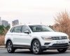 Volkswagen Tiguan 2020 - Bán Volkswagen Tiguan Elegance sản xuất 2020, màu trắng, nhập khẩu