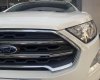 Ford EcoSport 2018 - Cần bán xe Ford EcoSport Titanium 1.5L AT gia đình sử dụng - Siêu lướt