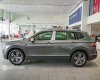 Hãng khác Khác 2022 - [Volkswagen Phan Thiết ] Tiguan Elegance màu xám, giảm ngay trước bạ, tặng gói phụ kiện