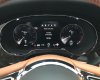 Bentley Bentayga 2022 - Bán ô tô Bentley Bentayga đời 2022 chính chủ vừa bấm biển xong sang tên giờ còn 2%