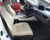 Lexus RX350 2017 - Bán chiếc Lexus RX350 Luxury sản xuất năm 2017 màu Trắng xe một chủ từ đầu,