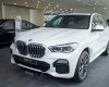 BMW X5 2022 - [BMW Hà Nội] BMW X5 - Biểu tượng của sự sang trọng, năng động và đẳng cấp