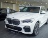 BMW X5 2022 - [BMW Hải Phòng] BMW X5 - Mẫu SUV đẳng cấp, sang trọng, nhưng không kém phần năng động