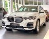 BMW X5 2022 - [BMW Hải Phòng] BMW X5 - Mẫu SUV đẳng cấp, sang trọng, nhưng không kém phần năng động