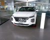 Hyundai Santa Fe 2021 - Màu trắng