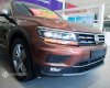 Volkswagen Tiguan 2017 - Xe qua sử dụng chính hãng, hỗ trợ bank 75%, giao xe toàn quốc