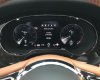 Bentley Bentayga 2021 - Vừa đăng ký 3/2022