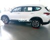 Hyundai Santa Fe 2021 - Màu trắng