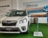 Subaru Forester 2022 - Thời điểm giá tốt nhất khi mua xe - Tặng phụ kiện cực khủng