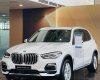 BMW X5 2022 - [Giao ngay tùy màu] Ưu đãi khủng 81 triệu + Tặng bảo hiểm vật chất xe 2 chiều - Cam kết không bán kèm phụ kiện