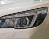Subaru Forester 2021 - Xe nhập, tặng 100% thuế trước bạ, trả góp từ 300tr