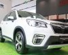 Subaru Forester 2021 - Xe nhập, tặng 100% thuế trước bạ, trả góp từ 300tr