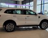 Ford Everest 2022 - Cần bán xe màu trắng