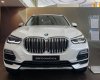 BMW X5 2020 - Màu trắng, xe nhập