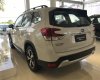 Subaru Forester 2020 - Subaru Đồng Nai - Chỉ 969 triệu sở hữu xe ngay - Ưu đãi khủng trong tháng 3