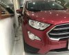 Ford EcoSport 2018 - Bán xe chính chủ giá tốt