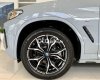 BMW X4 2022 - Màu xám, nhập khẩu nguyên chiếc